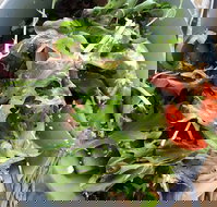 The Spun Yarn Cafe - Mackay Tourism