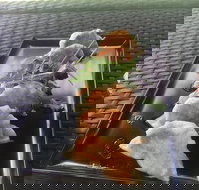 Three Black Sheep Cafe - Mackay Tourism