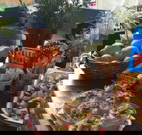 Island fruit Barn - Mackay Tourism