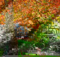 The Woods Ravensbourne - Mackay Tourism