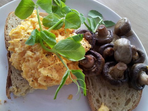 Long Story Short - Mackay Tourism 0