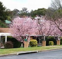 White Lanterns Motel - Mackay Tourism