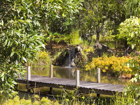 Cedar Park Rainforest Resort - Mackay Tourism 0