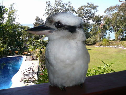 Yarrandabbi Dreaming Boutique B&B - Mackay Tourism 2