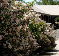 Wine Village Motor Inn - Mackay Tourism