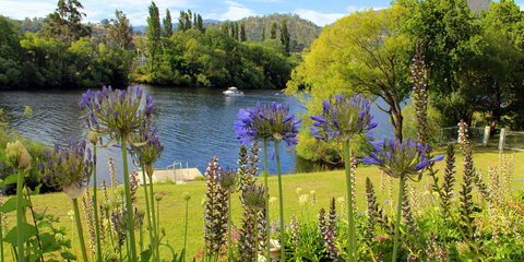 Woodbridge on the Derwent - Mackay Tourism 3