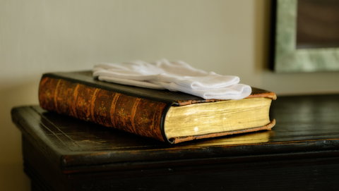 Woodbridge on the Derwent - Mackay Tourism 4