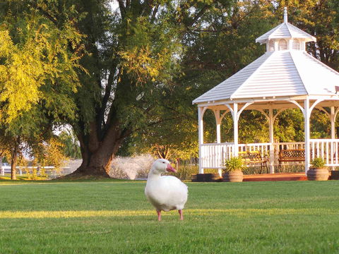 Parklands Resort & Conference Ctr - Mackay Tourism 1