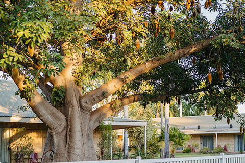 Kimberley Grande Resort & Conf Ctr - Mackay Tourism 0