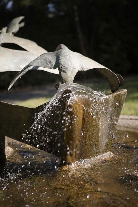 University House - ANU - Mackay Tourism 30