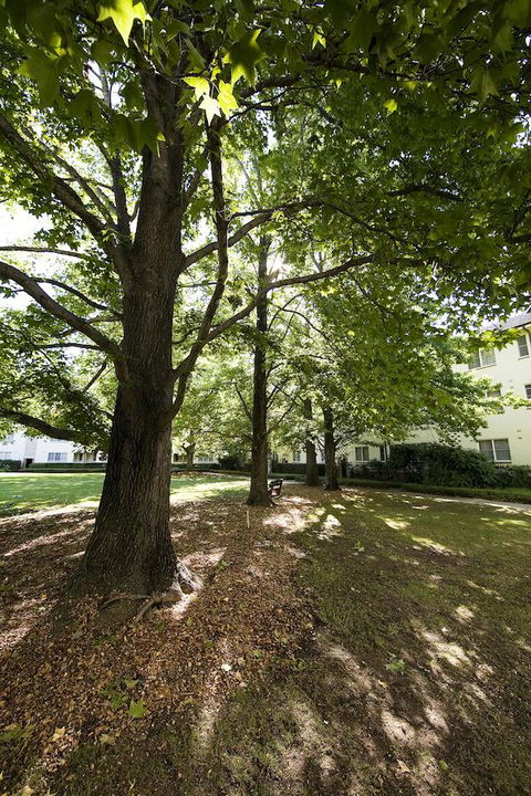 University House - ANU - Mackay Tourism 28