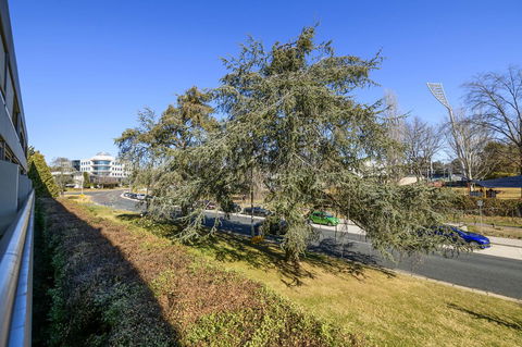 Accommodate Canberra - The Summit - Mackay Tourism 5