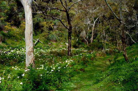 Lure Bed And Breakfast - Mackay Tourism 17