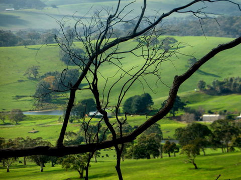 Lure Bed And Breakfast - Mackay Tourism 21