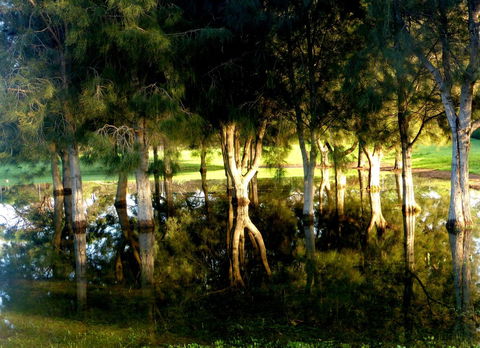 Lure Bed And Breakfast - Mackay Tourism 18