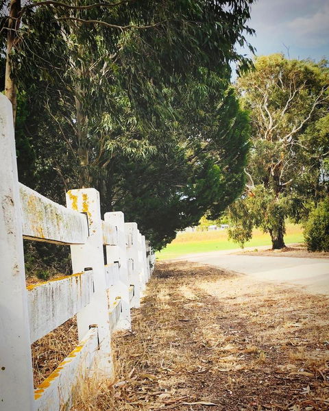 The Lake House Retreat - Mackay Tourism 28