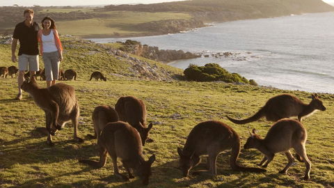 Kangaroo Island Seafront - Mackay Tourism 13