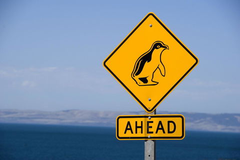 Kangaroo Island Seafront - Mackay Tourism 43
