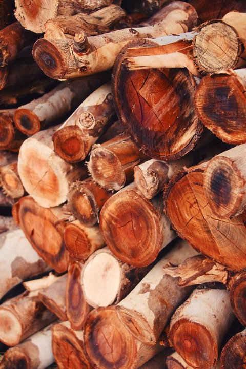 Lost In The Vines - Mackay Tourism 20