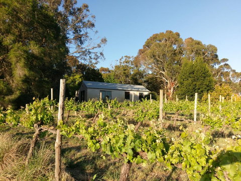 Lost In The Vines - Mackay Tourism 25