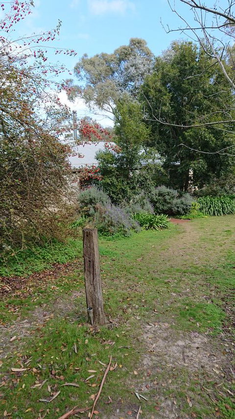 Lost In The Vines - Mackay Tourism 21