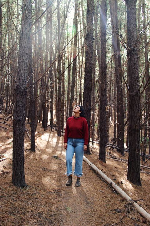 Lost In The Vines - Mackay Tourism 19