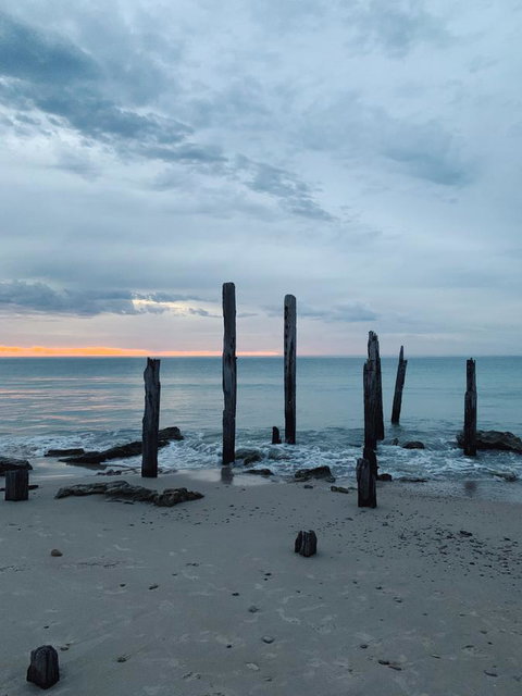 Lost In The Vines - Mackay Tourism 18