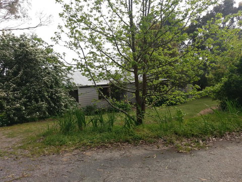 Lost In The Vines - Mackay Tourism 24