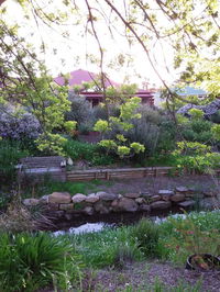 Book Willunga Accommodation Vacations Mackay Tourism Mackay Tourism
