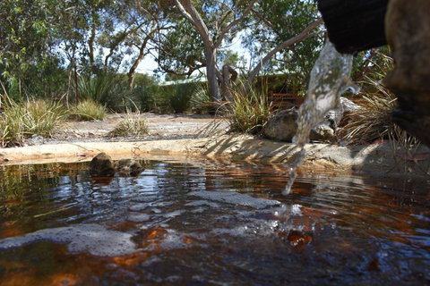 Kangaroo Island Wilderness Retreat - Mackay Tourism 25