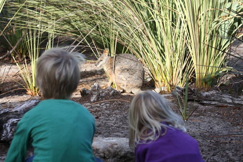 Kangaroo Island Wilderness Retreat - Mackay Tourism 30