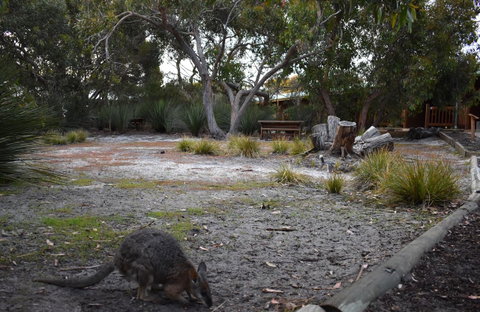 Kangaroo Island Wilderness Retreat - Mackay Tourism 1