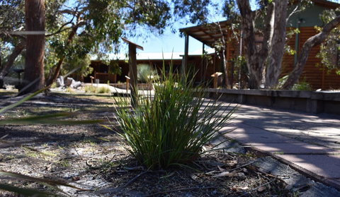 Kangaroo Island Wilderness Retreat - Mackay Tourism 21