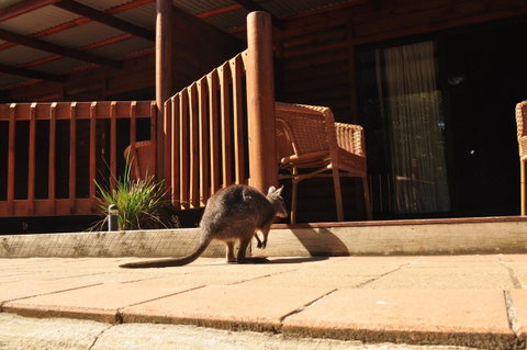 Kangaroo Island Wilderness Retreat - Mackay Tourism 9