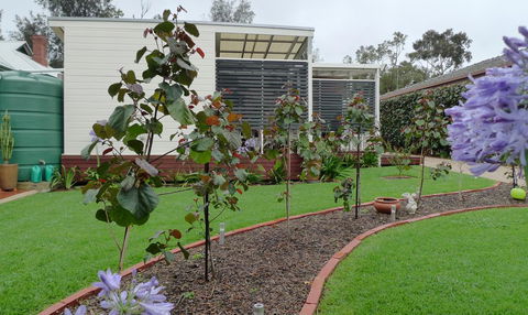 Grassmere House Magill - Mackay Tourism 19