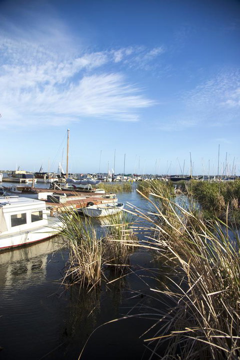 Wayfarers Cottage - Mackay Tourism 15