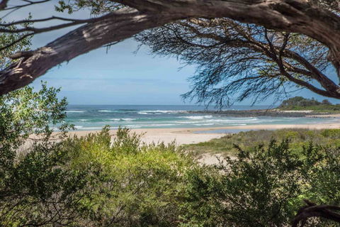 BIG4 Tasman Holiday Parks - Racecourse Beach - Mackay Tourism 7