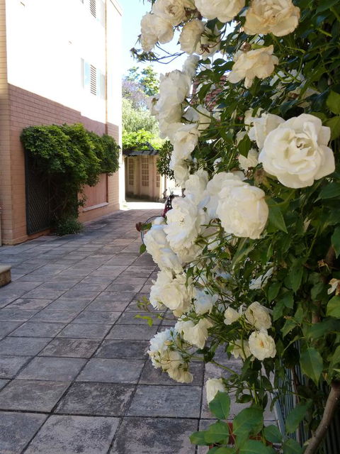 Monaco Court Apartment Adelaide - Mackay Tourism 19