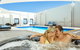 Stamford Plaza Adelaide - thumb 44