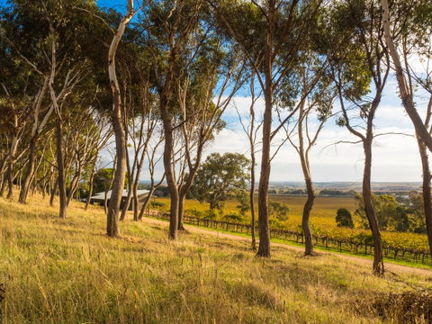 Shadow Creek McLaren Vale - Mackay Tourism 5