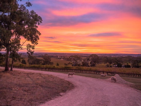 Shadow Creek McLaren Vale - Mackay Tourism 24
