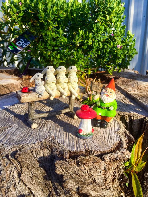 Inglenook Cottage - Mackay Tourism 34