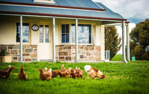Barossa Vineyard Cottages - Mackay Tourism 40