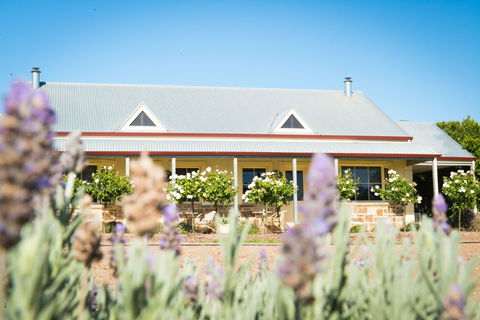 Barossa Vineyard Cottages - Mackay Tourism 3