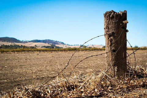 Barossa Vineyard Cottages - Mackay Tourism 5