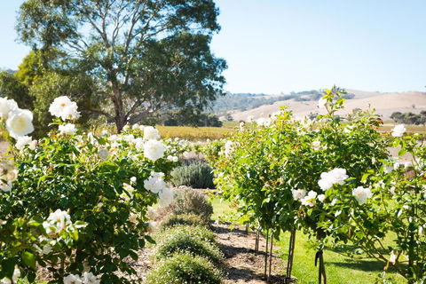 Barossa Vineyard Cottages - Mackay Tourism 1