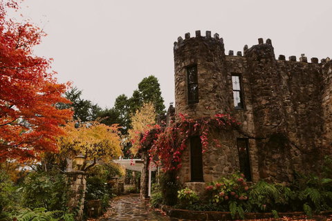 The Manor Basket Range - Mackay Tourism 15