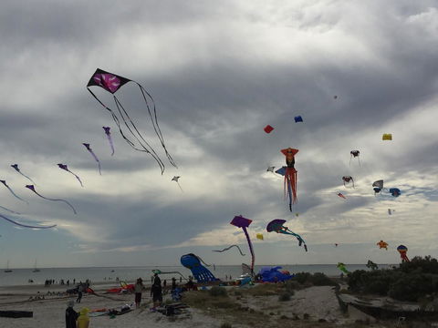 Semaphore Splash Apartments - Mackay Tourism 18
