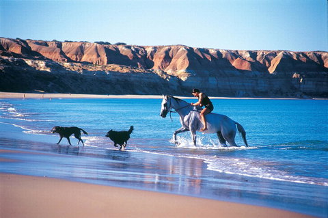 Lavina Luxury Beach House - Mackay Tourism 25