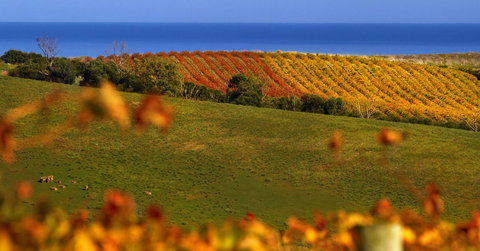 Lavina Luxury Beach House - Mackay Tourism 14